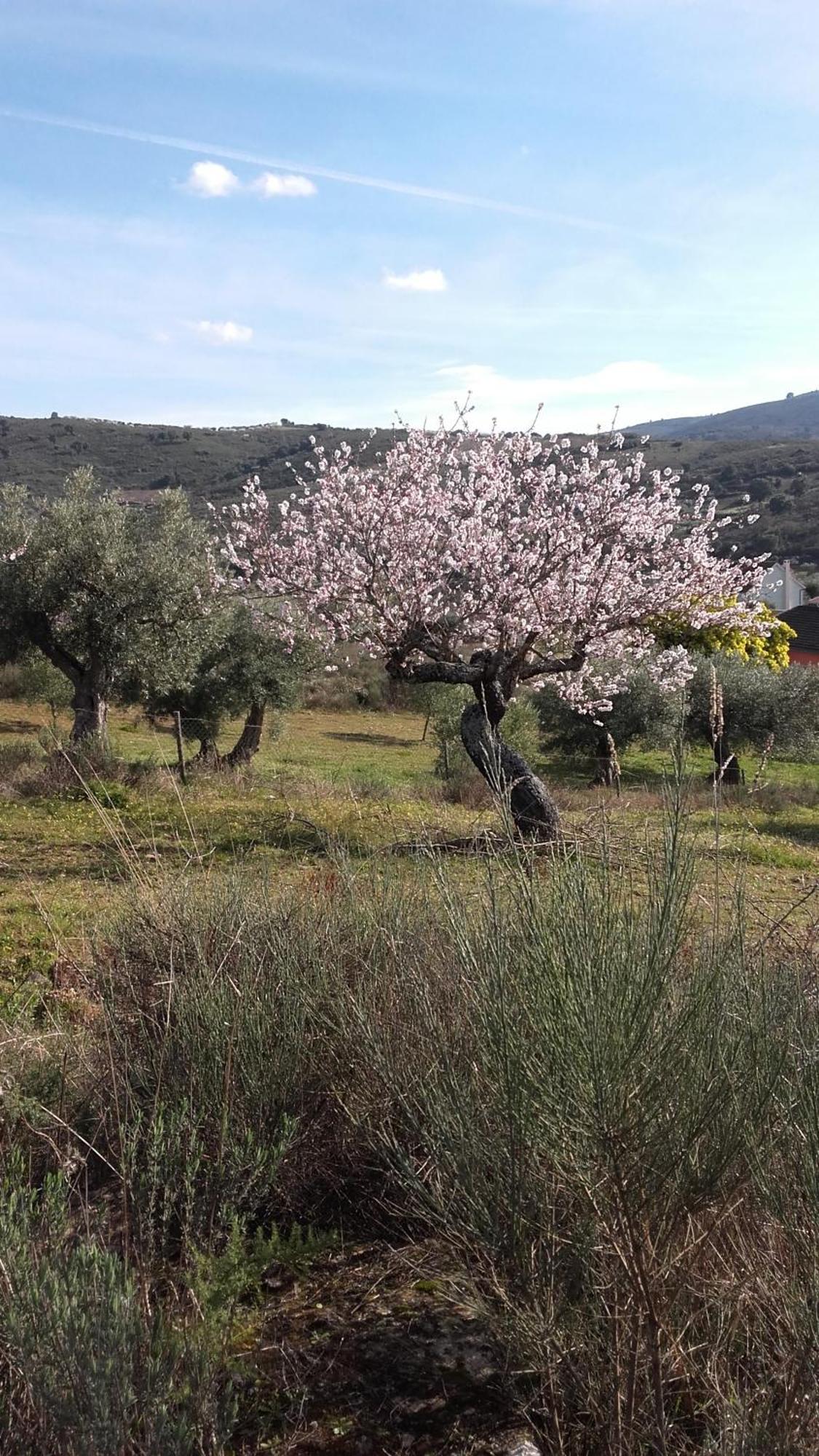 Casa Do Prado ξενώνας Vila Verde  Εξωτερικό φωτογραφία